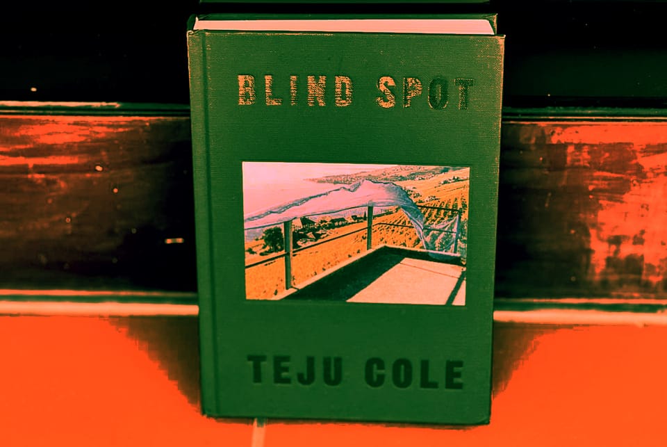 Notes on Teju Cole's Blind Spot